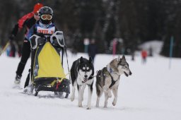 Lenzerheide 2013